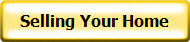 Credit Application